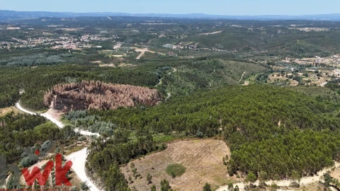 Terreno para Venda em Arganil