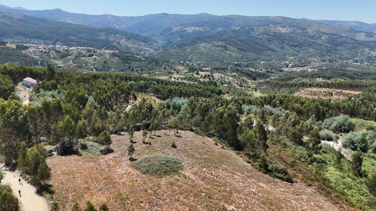 Terreno para Venda em Arganil Foto 1