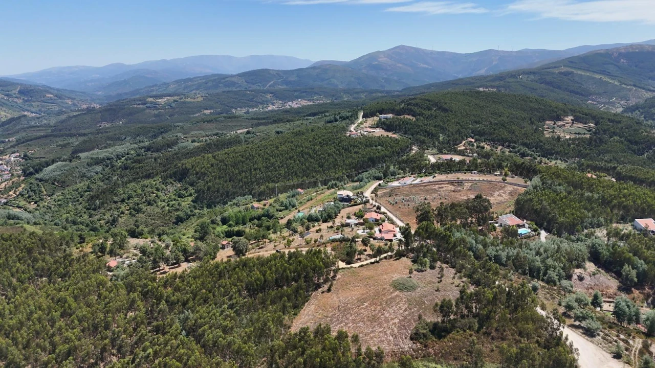 Terreno para Venda em Arganil Foto 2
