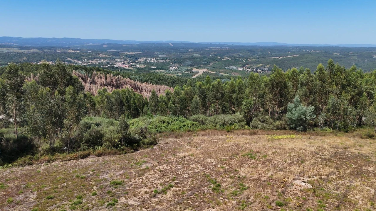 Terreno para Venda em Arganil Foto 5