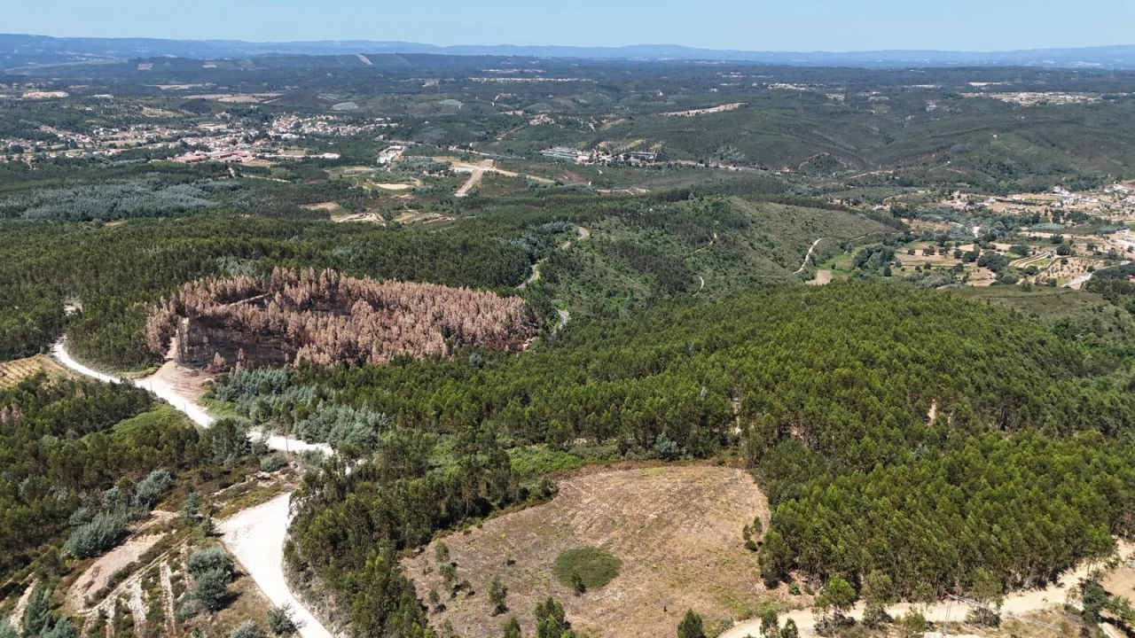 Terreno para Venda em Arganil Foto 6