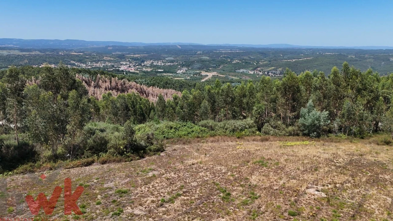 Terreno para Venda em Arganil Foto 5