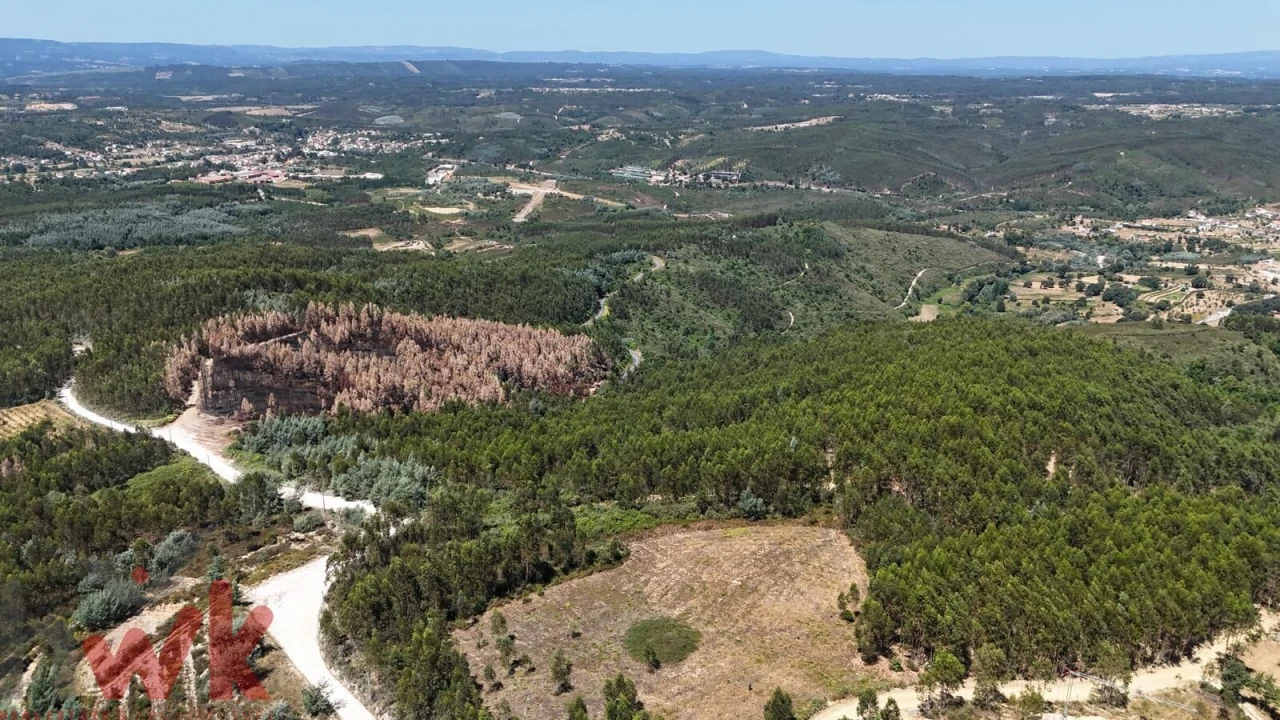 Terreno para Venda em Arganil Foto 6