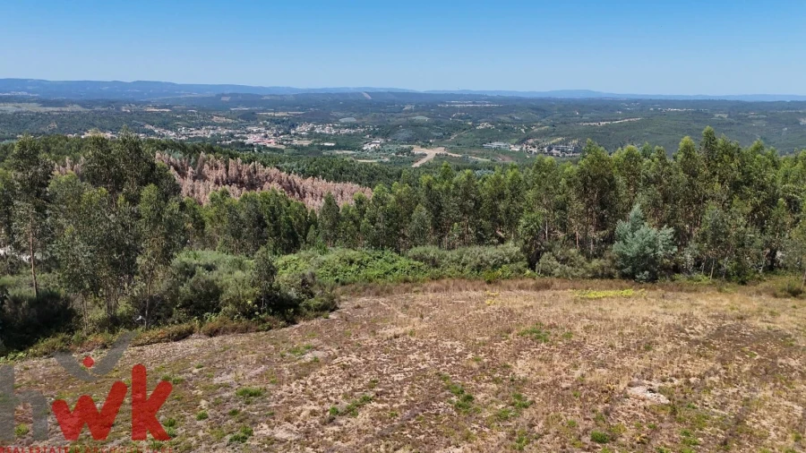 Terreno para Venda em Arganil Foto 7