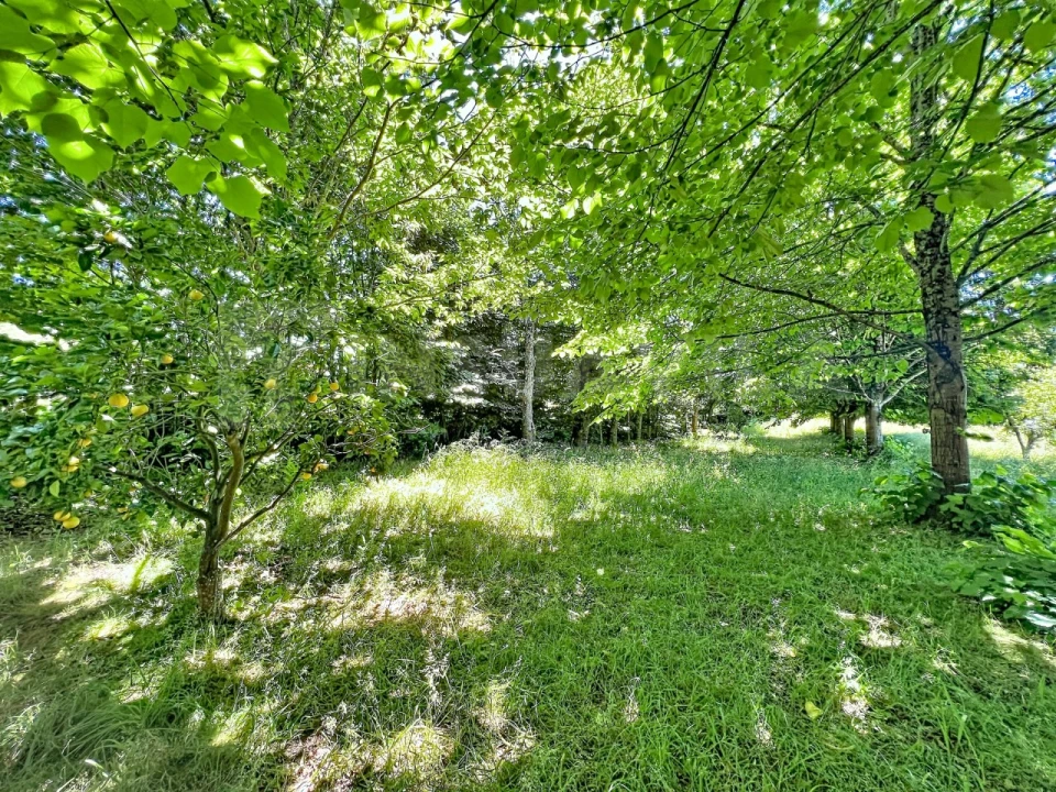 Terreno para Venda em Vilar de Mouros Foto 5