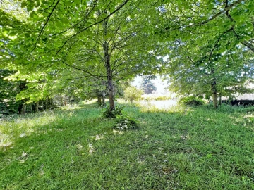 Terreno para Venda em Vilar de Mouros