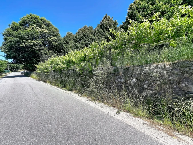 Terreno para Venda em Vilar de Mouros Foto 7