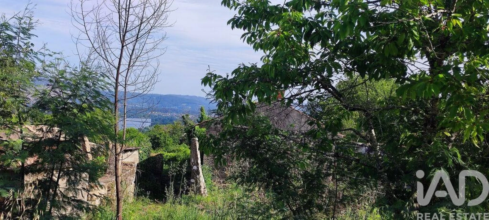 Moradia T3 para Venda em Loivo Foto 10