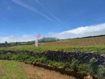 Moradia T1 para Venda em Praia da Vitoria (Santa Cruz)