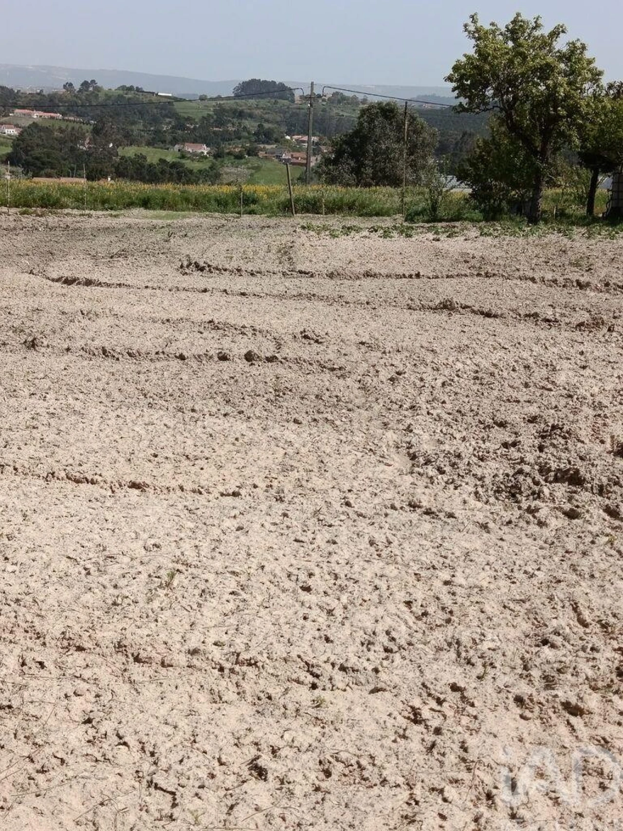 Terreno para Venda em Cela Foto 20