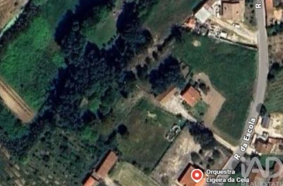 Terreno para Venda em Cela