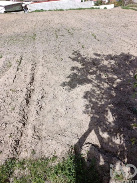 Terreno para Venda em Cela