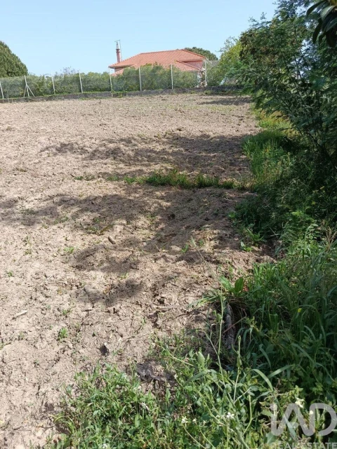 Terreno para Venda em Cela