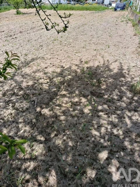 Terreno para Venda em Cela