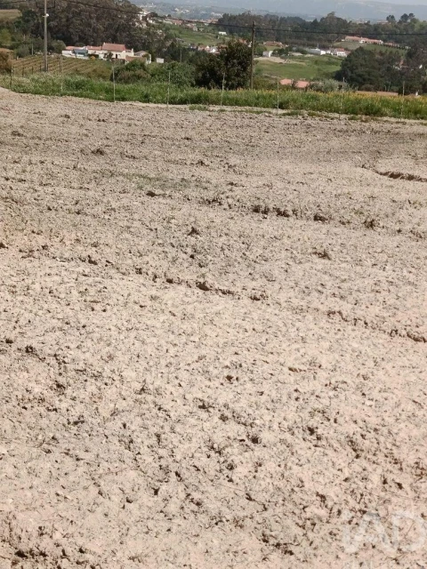 Terreno para Venda em Cela