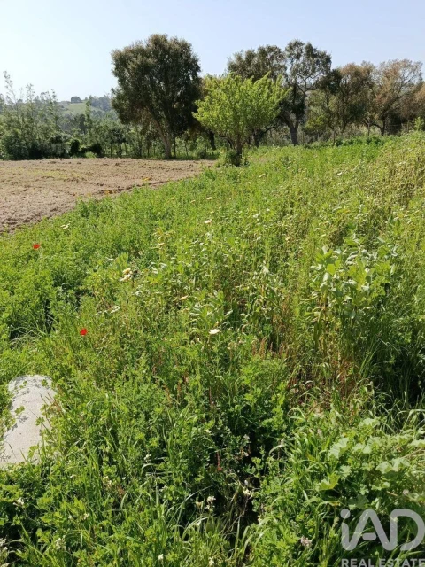 Terreno para Venda em Cela