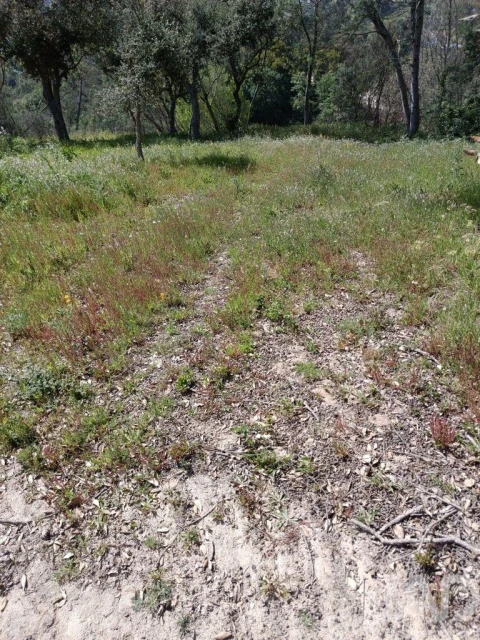 Terreno para Venda em Cela