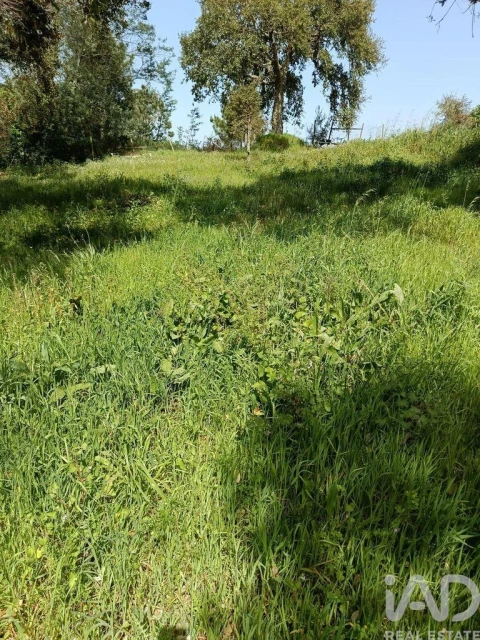 Terreno para Venda em Cela