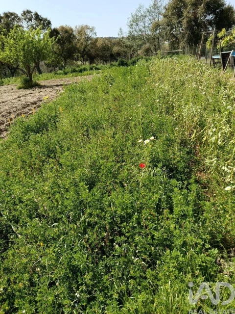 Terreno para Venda em Cela