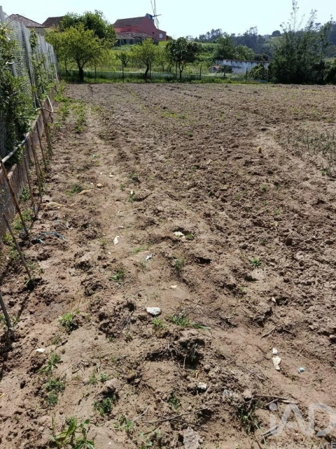 Terreno para Venda em Cela
