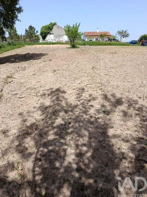 Terreno para Venda em Cela