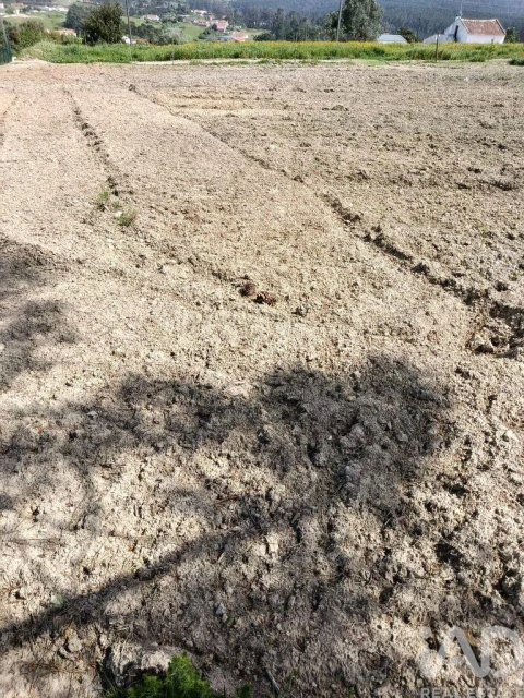 Terreno para Venda em Cela