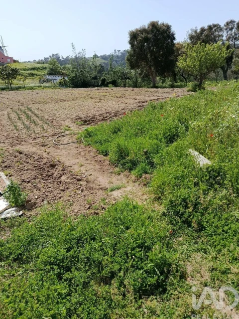Terreno para Venda em Cela