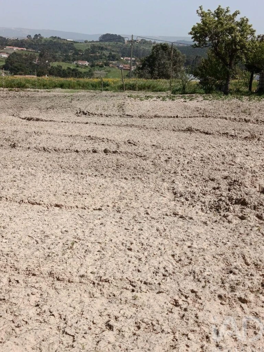 Terreno para Venda em Cela Foto 20