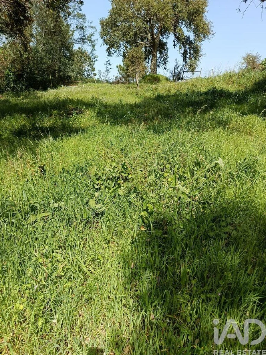 Terreno para Venda em Cela Foto 16