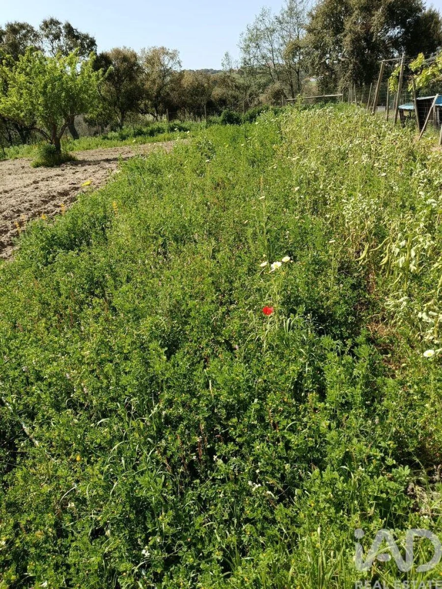 Terreno para Venda em Cela Foto 26