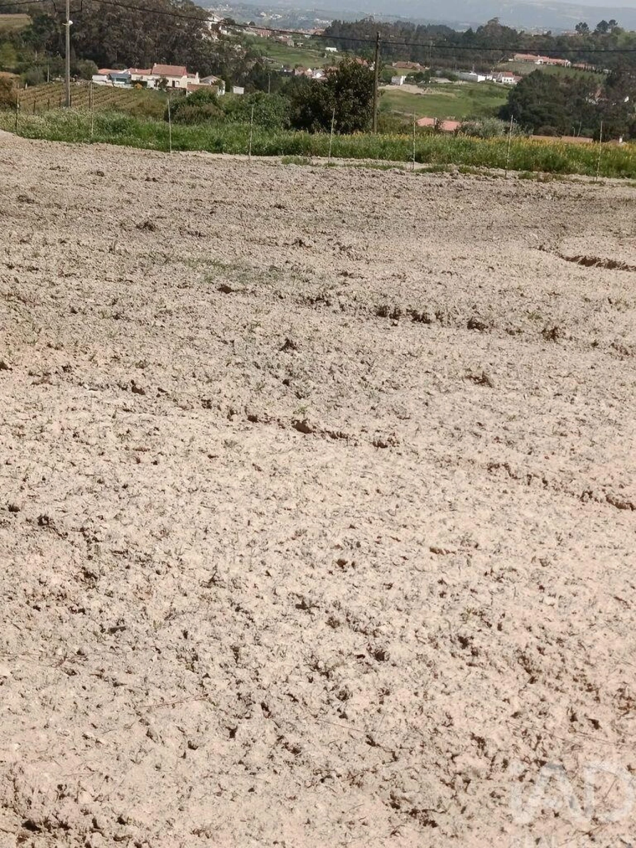 Terreno para Venda em Cela Foto 19