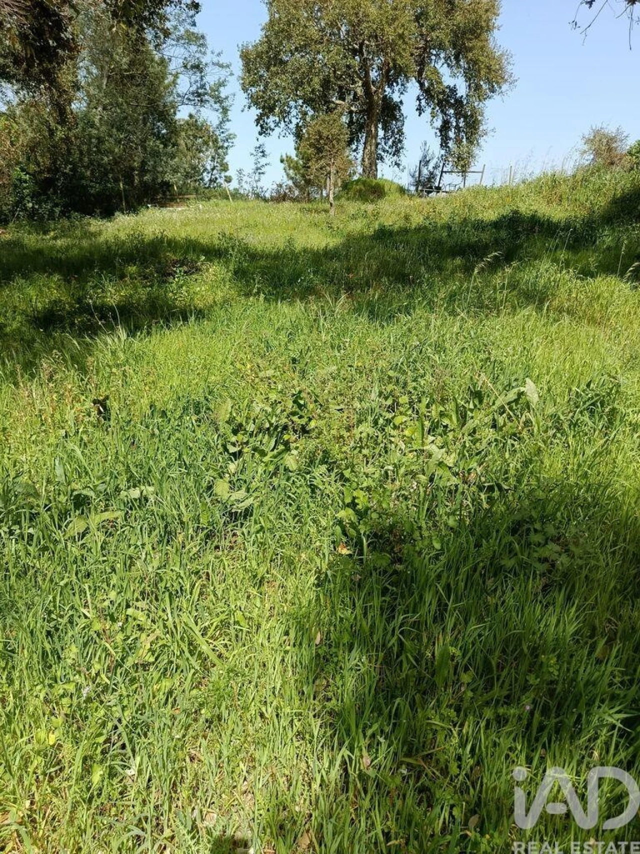 Terreno para Venda em Cela Foto 16