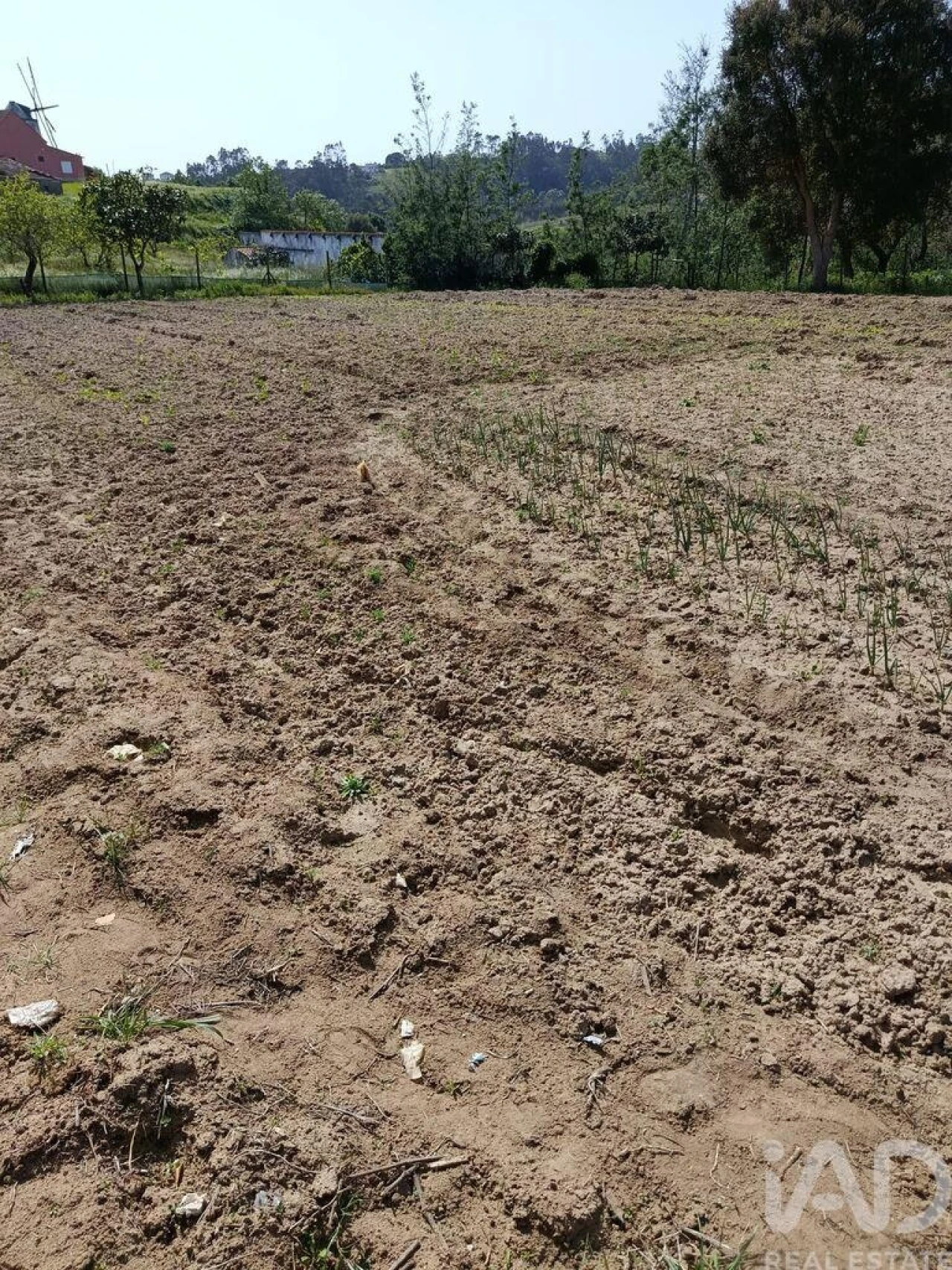 Terreno para Venda em Cela Foto 12