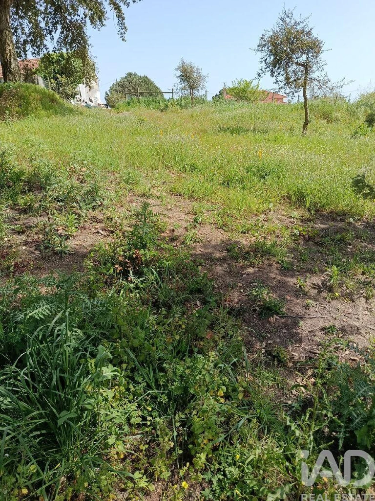 Terreno para Venda em Cela Foto 18