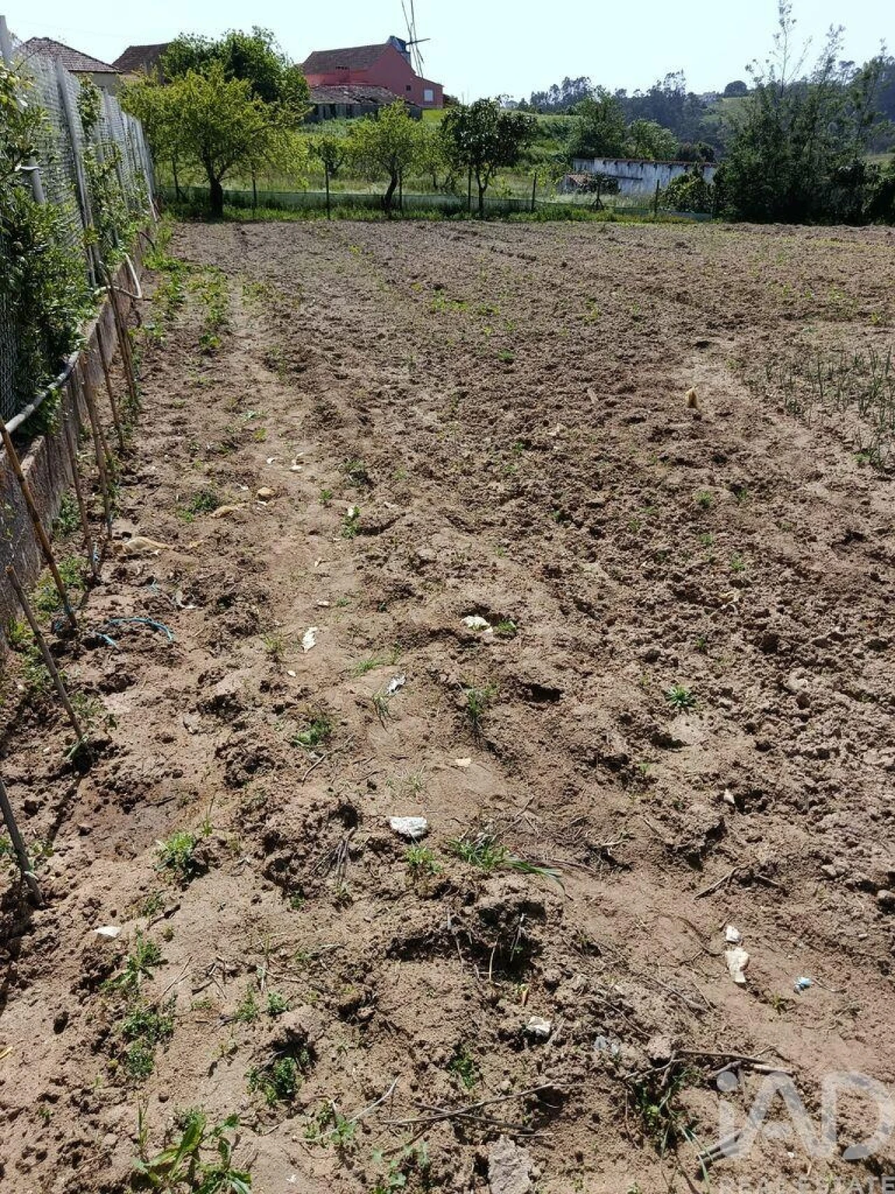 Terreno para Venda em Cela Foto 13