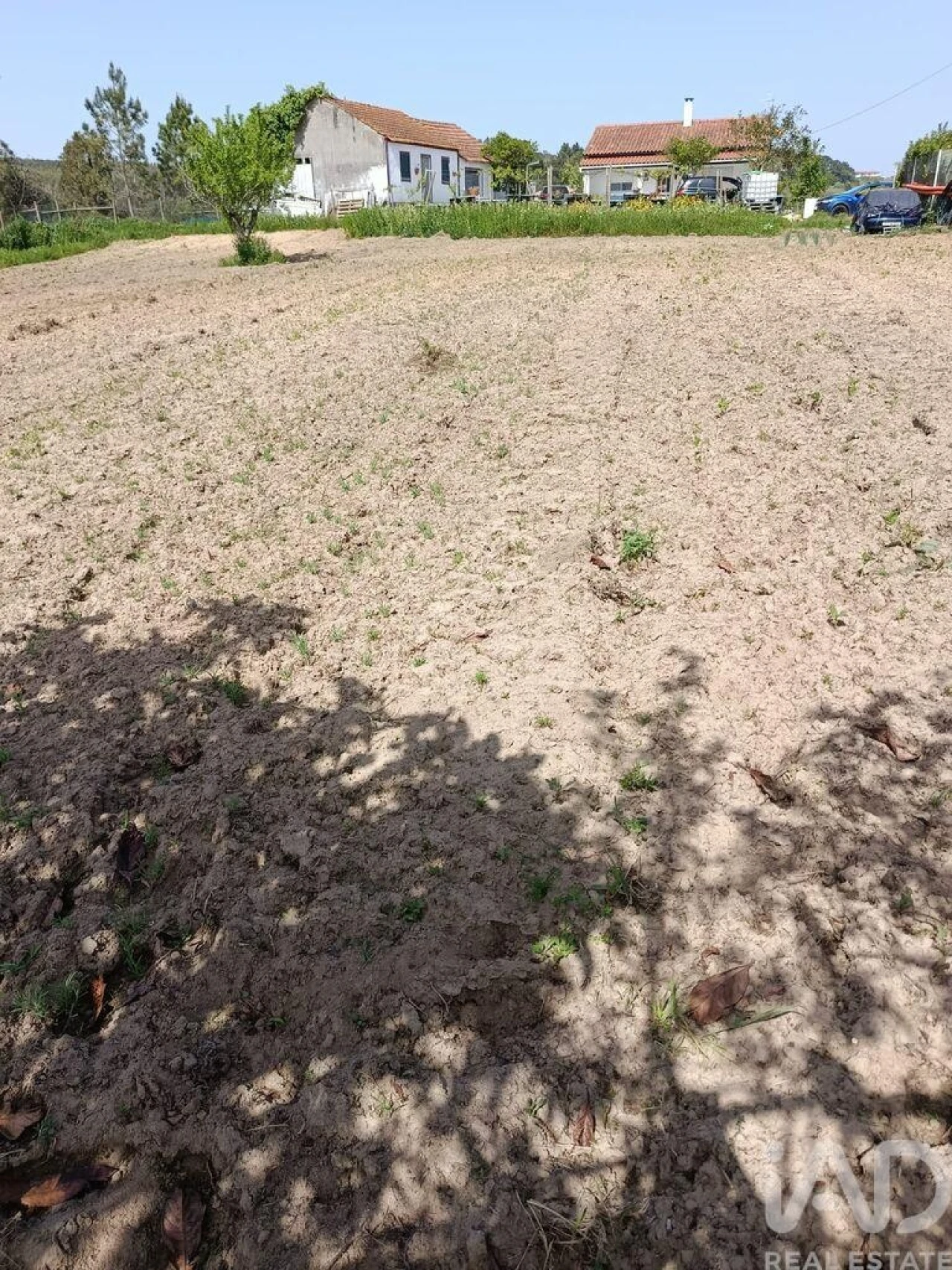 Terreno para Venda em Cela Foto 15