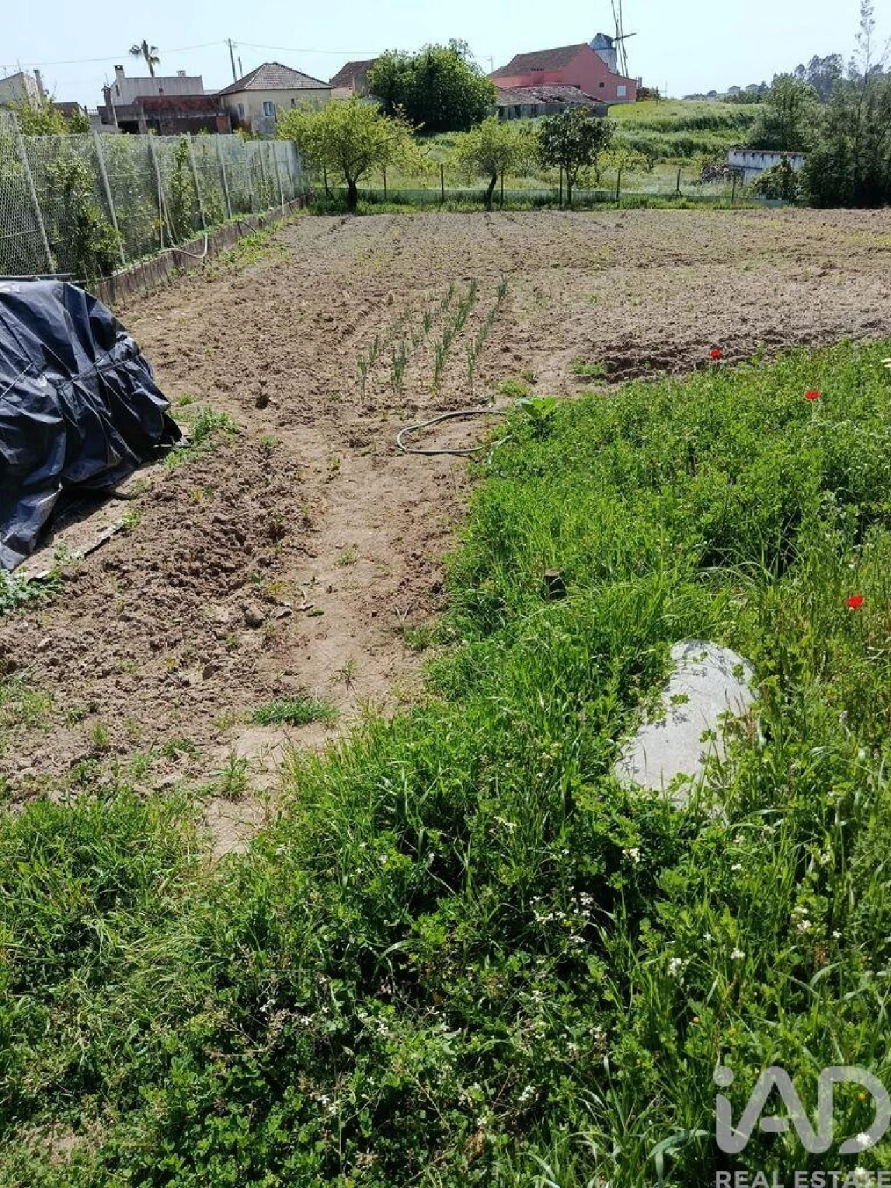 Terreno para Venda em Cela Foto 25