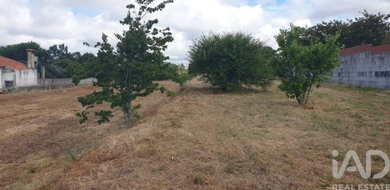 Terreno para Venda em Custóias, Leça do Balio e Guifões