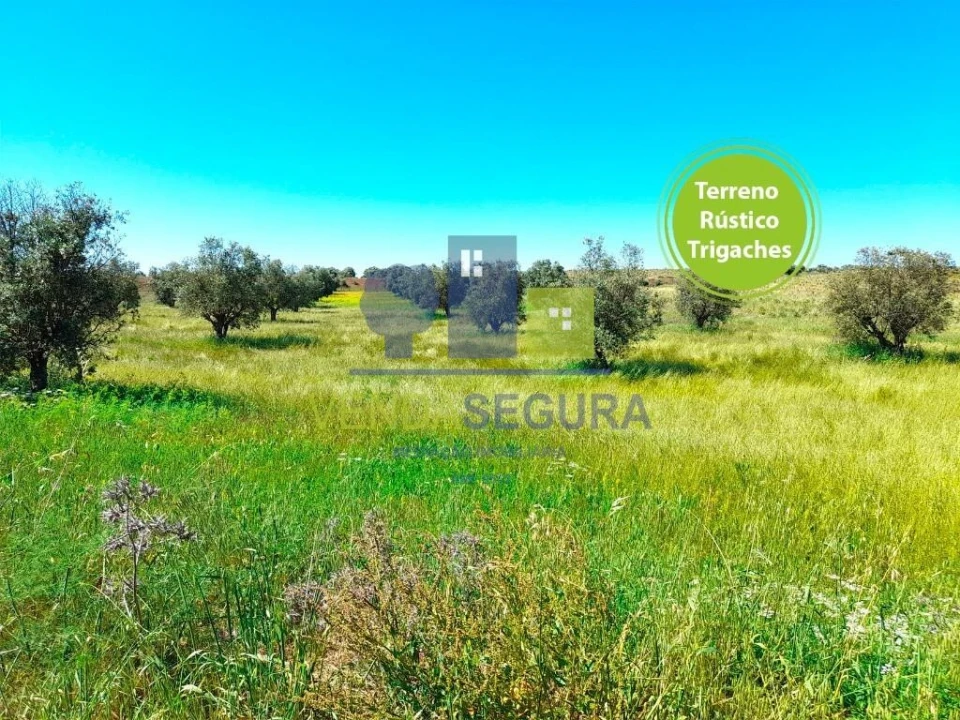 Terreno para Venda em Trigaches e São Brissos Foto 1