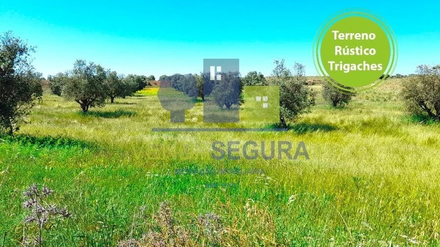Terreno para Venda em Trigaches e São Brissos