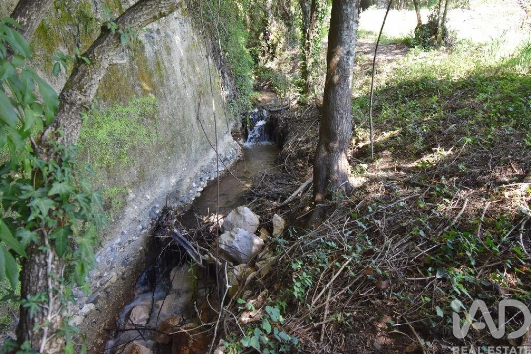 Terreno para Venda em São Miguel, Santa Eufémia e Rabaçal Foto 7
