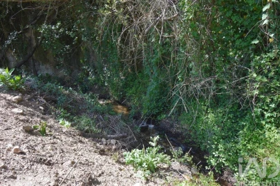 Terreno para Venda em São Miguel, Santa Eufémia e Rabaçal