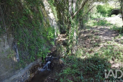 Terreno para Venda em São Miguel, Santa Eufémia e Rabaçal