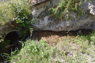 Terreno para Venda em São Miguel, Santa Eufémia e Rabaçal