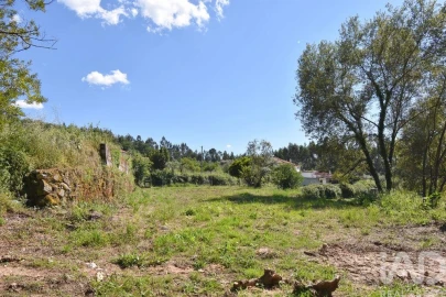 Terreno para Venda em São Miguel, Santa Eufémia e Rabaçal
