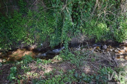 Terreno para Venda em São Miguel, Santa Eufémia e Rabaçal