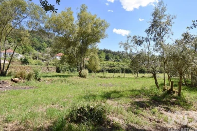 Terreno para Venda em São Miguel, Santa Eufémia e Rabaçal