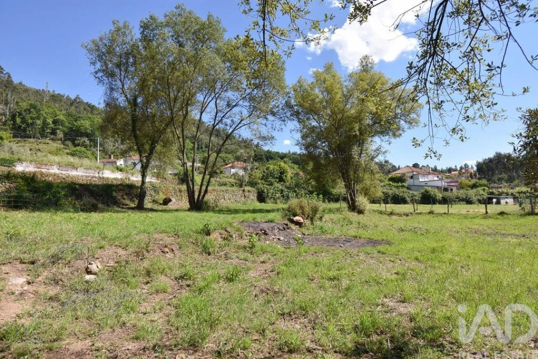 Terreno para Venda em São Miguel, Santa Eufémia e Rabaçal Foto 6