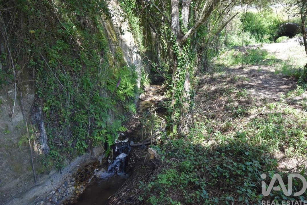 Terreno para Venda em São Miguel, Santa Eufémia e Rabaçal Foto 8
