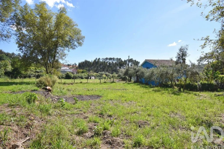Terreno para Venda em São Miguel, Santa Eufémia e Rabaçal Foto 16